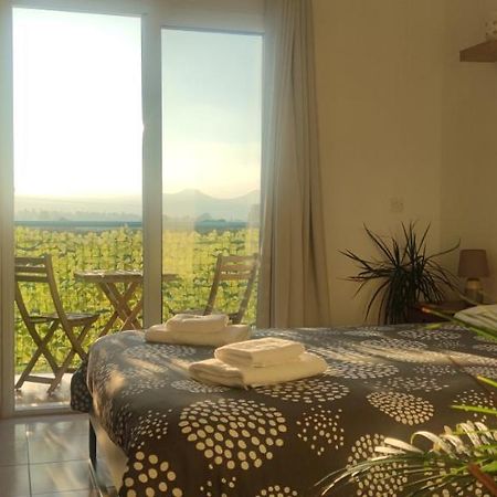 Thalassa Seaside Boutique Beach Apartment Polis Eksteriør bilde
