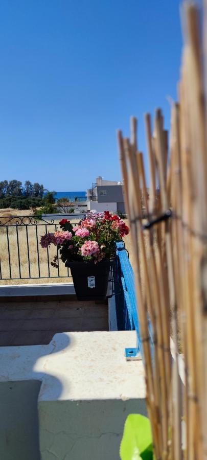 Thalassa Seaside Boutique Beach Apartment Polis Eksteriør bilde