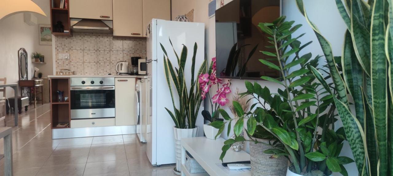 Thalassa Seaside Boutique Beach Apartment Polis Eksteriør bilde