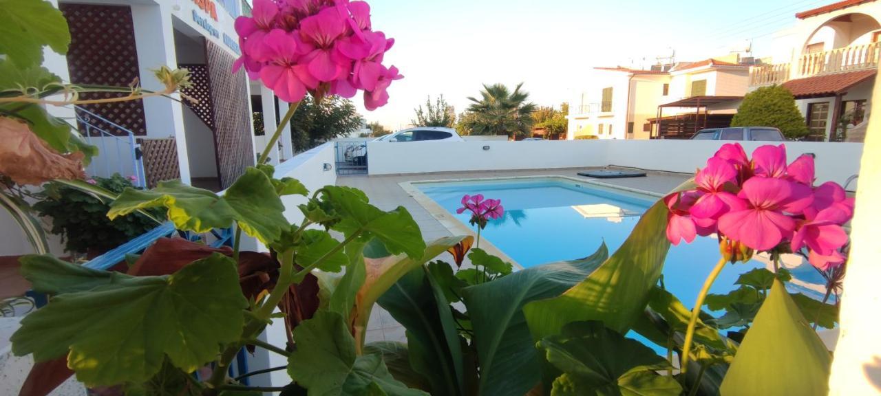 Thalassa Seaside Boutique Beach Apartment Polis Eksteriør bilde
